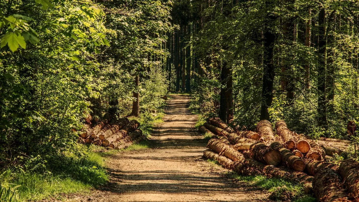Hướng dẫn đặt lịch khám nhanh chóng tại Green Forest - viêm nang lông khám ở đâu - da liễu